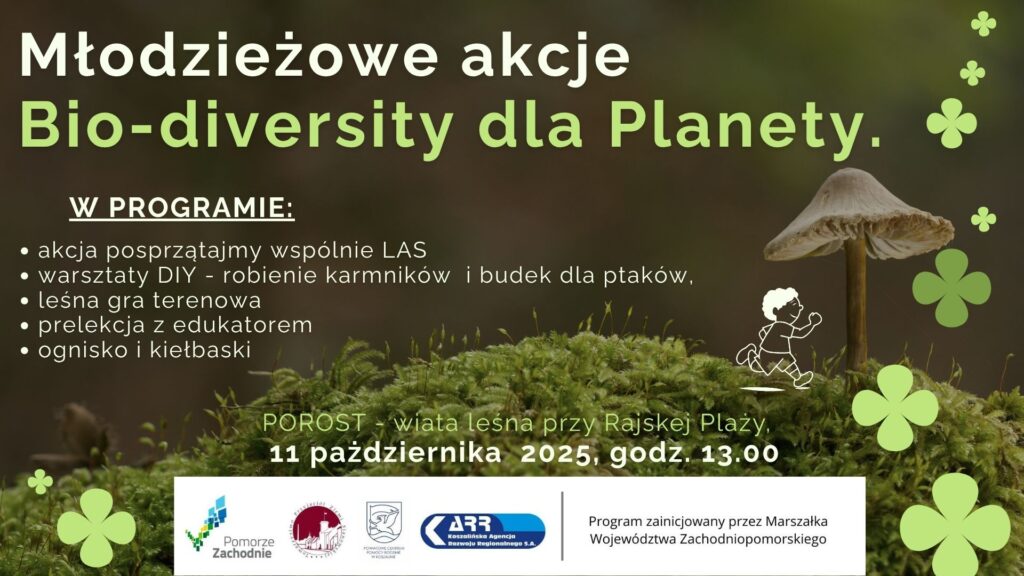 Akcja ekologiczna - leśny październik 