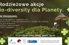 Więcej o: Akcja ekologiczna – leśny październik !